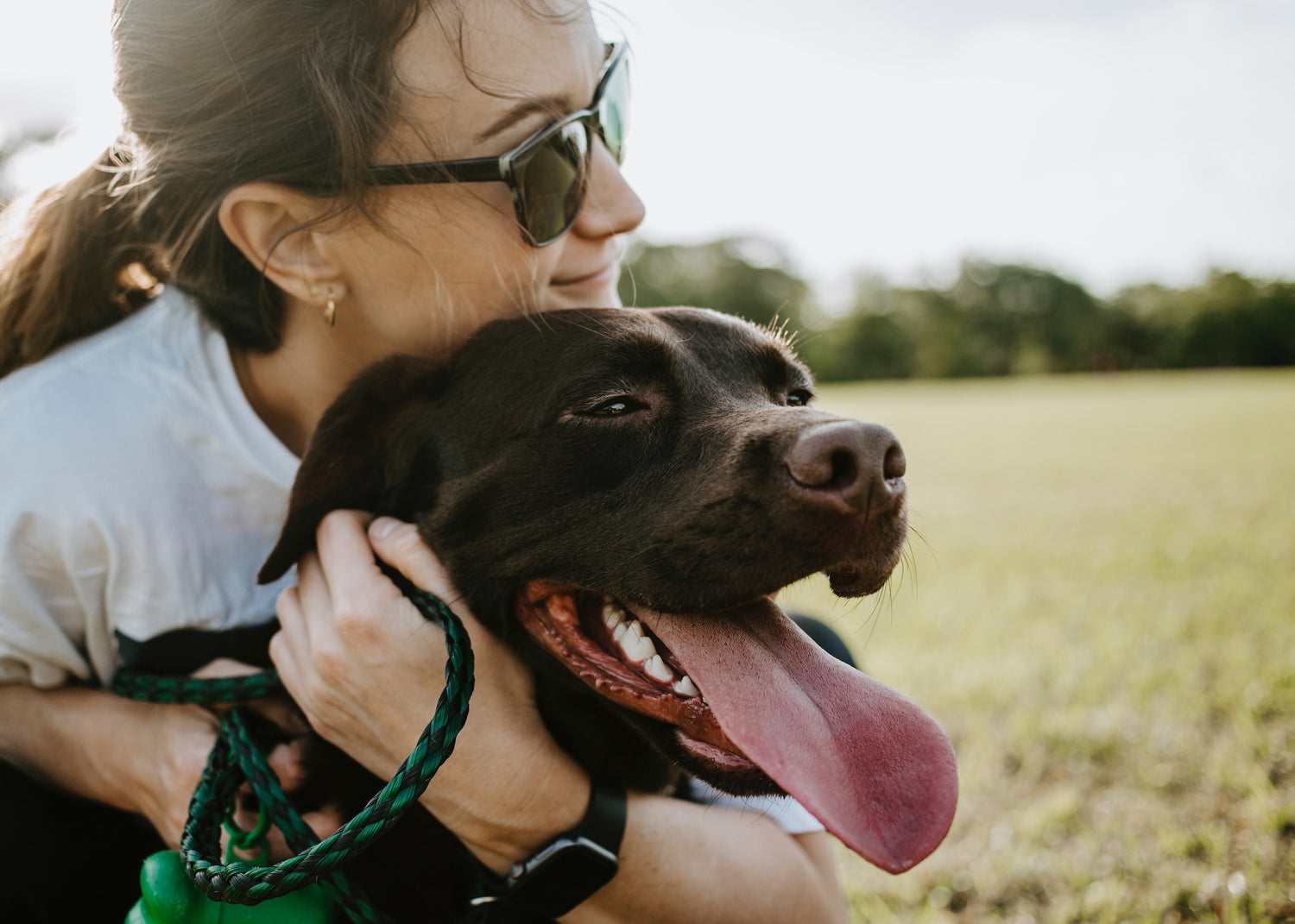 How Coconut Oil Can Help Combat Oxidative Stress in Pets (Backed by 5 Scientific Studies)