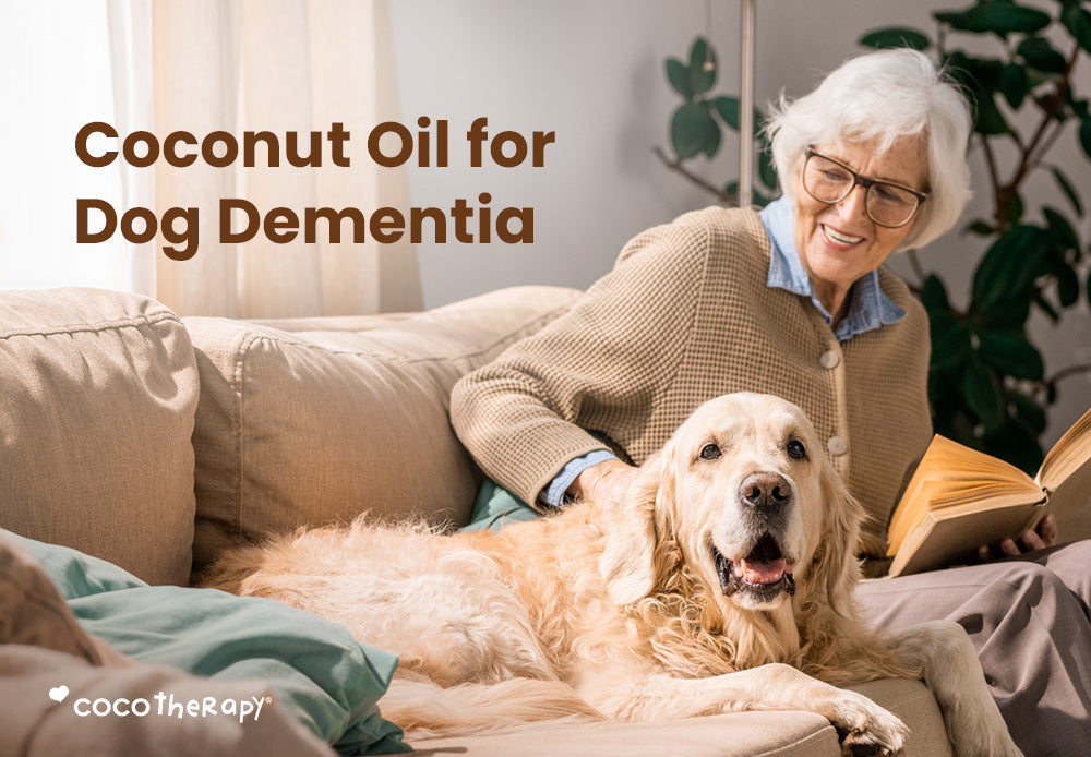 Elderly woman sitting on the couch with her senior Golden Retriever dog.