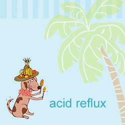 Acid Reflux