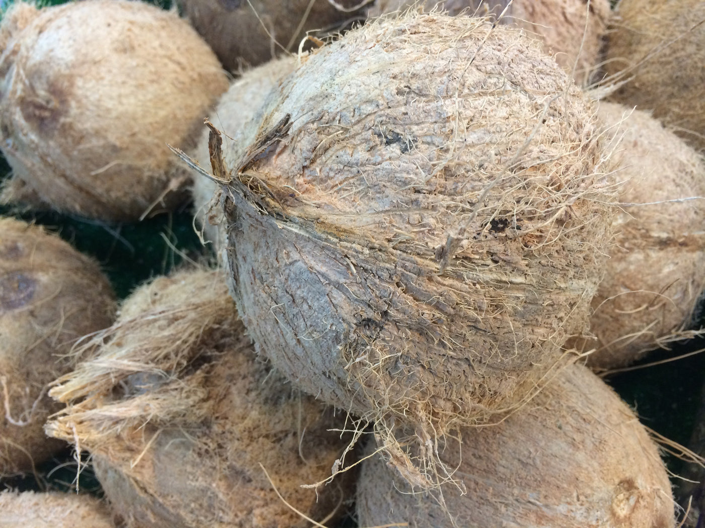 Coconut Oil and Chips