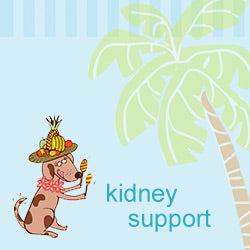 Kidney Support