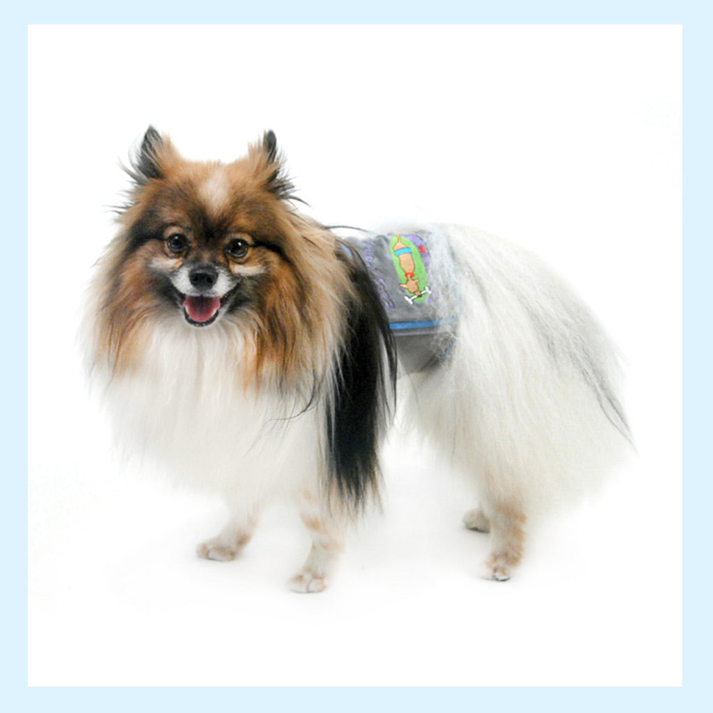 Tees & Male Dog Belly Bands