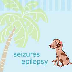 Seizures & Epilepsy