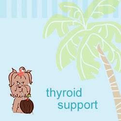 Thyroid