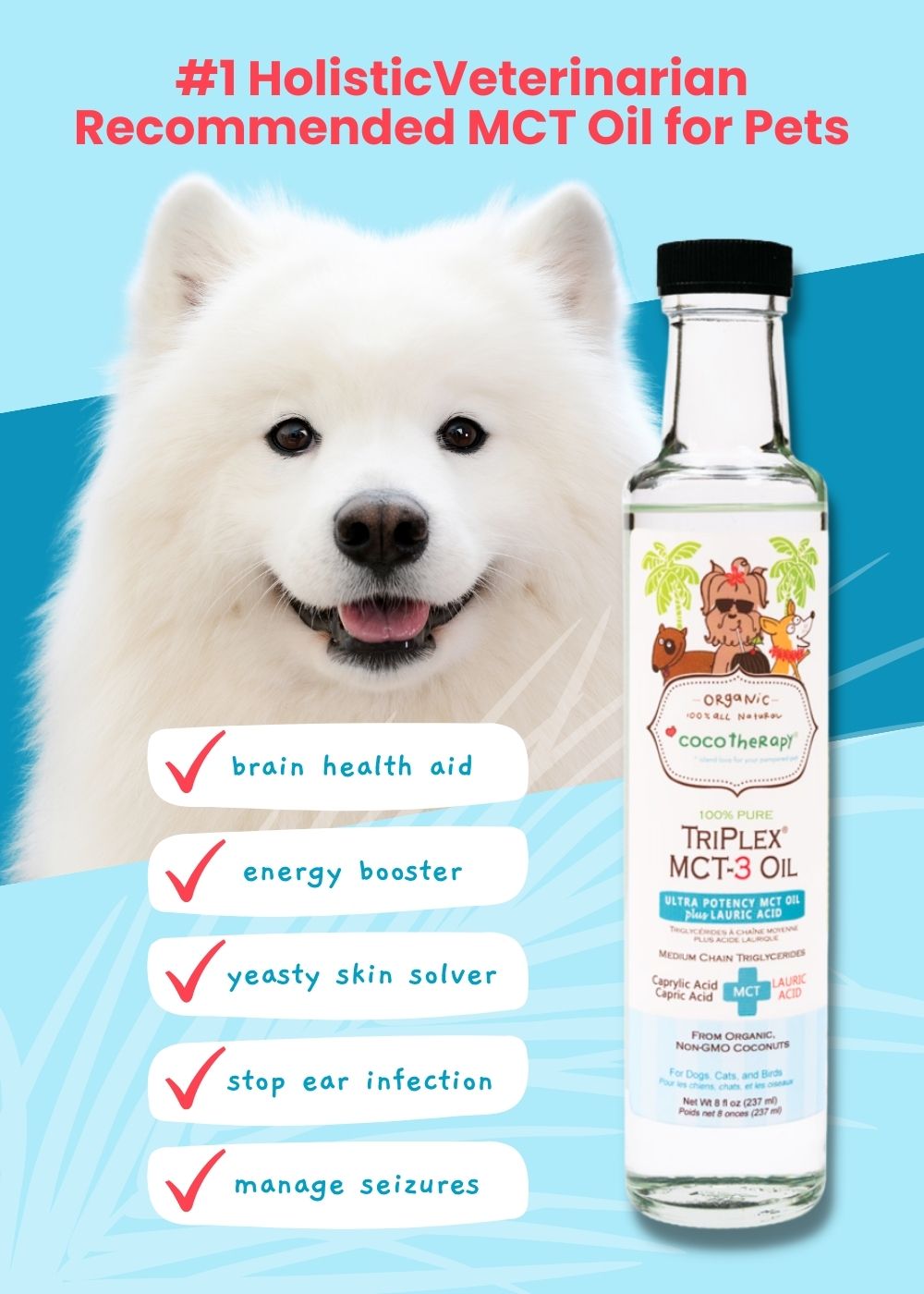 Cocotherapy huile de noix de coco pour chien— animauxbouffe