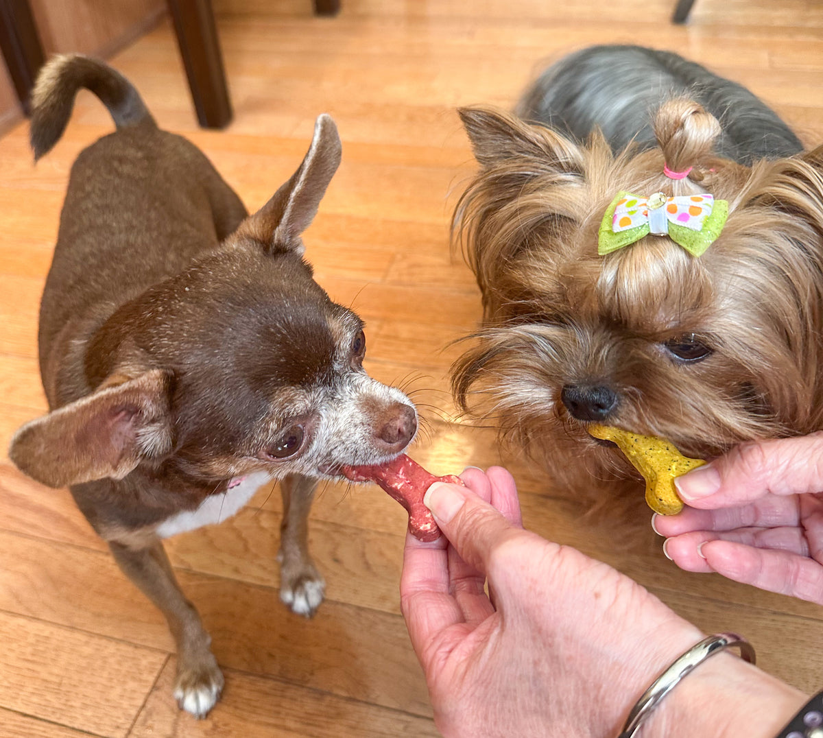 Coco-Milk Bones Triple Treat - Carrot + Red Velvet + Ginger - Organic Coconut Biscuit Treats for dogs