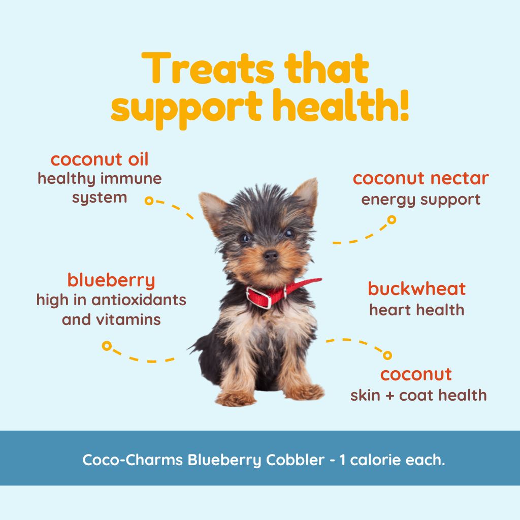 Coco-Charms Training Treats Blueberry Cobbler - Organic Training Treat for dogs