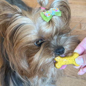 Anti-Inflammatory Support Triple Combo Pack - Coco-Gold + Carrot + Ginger Coco-Milk Bones
