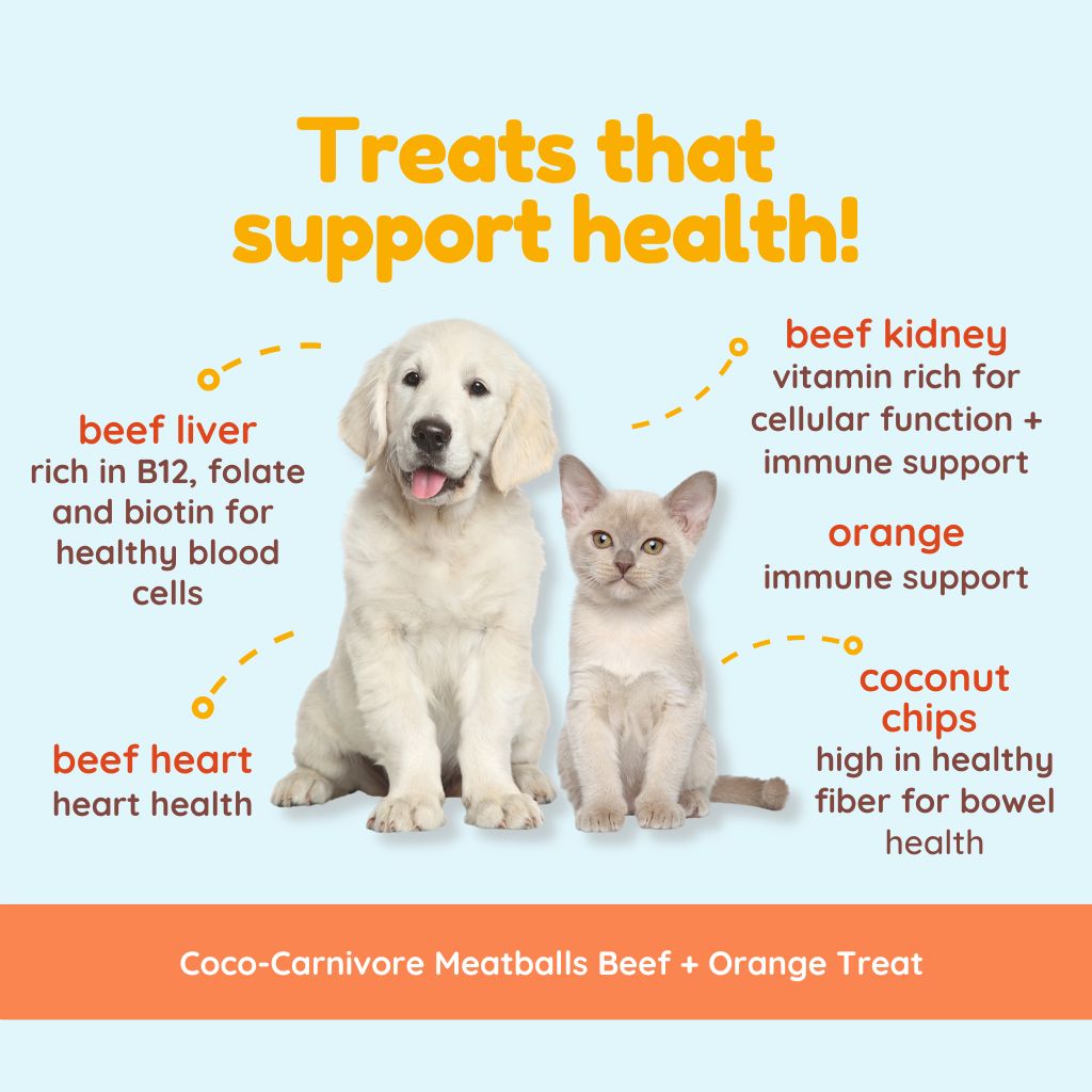 Coco-Carnivore Meatballs – Beef + Orange + Coconut