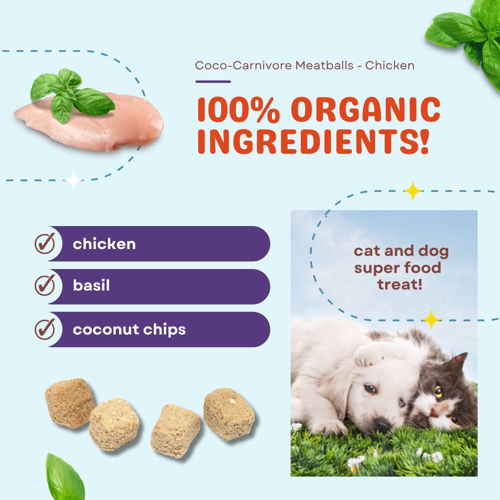 Coco-Carnivore Meatballs – Chicken + Basil + Coconut