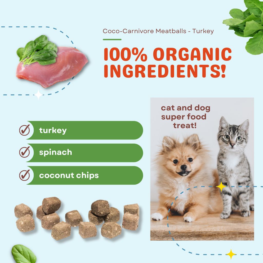 Turkey Lover Combo - Organ Bites! Turkey + Coco-Carnivore Meatballs Turkey