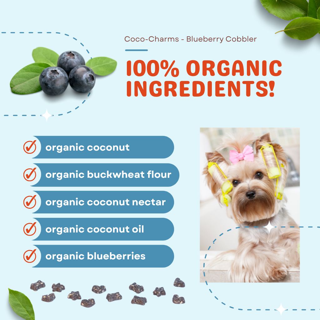 Coco-Charms Training Treats Blueberry Cobbler - Organic Training Treat for dogs