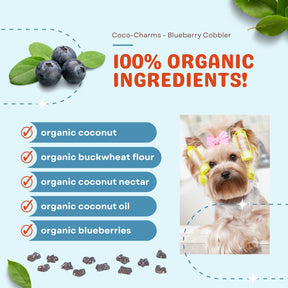 Coco-Charms Training Treats Blueberry Cobbler - Organic Training Treat for dogs