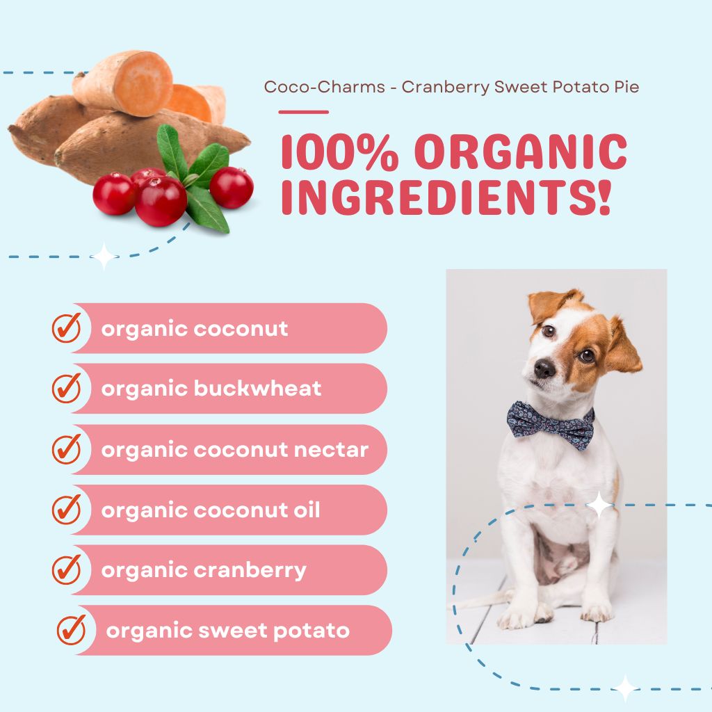 Coco-Charms Training Treats Cranberry Sweet Potato Pie - Organic Training Treat for dogs