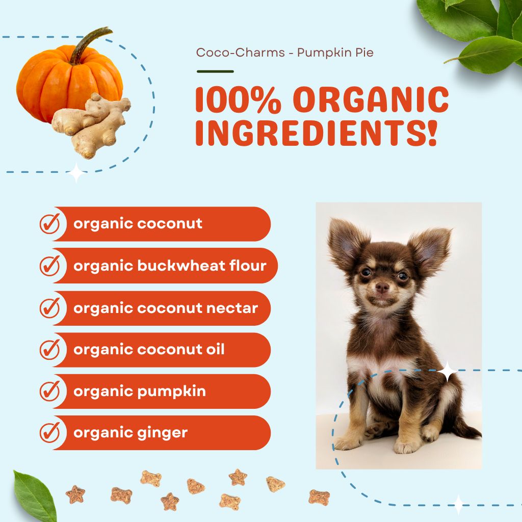 Coco-Charms Training Treats Pumpkin Pie - Organic Training Treat for dogs