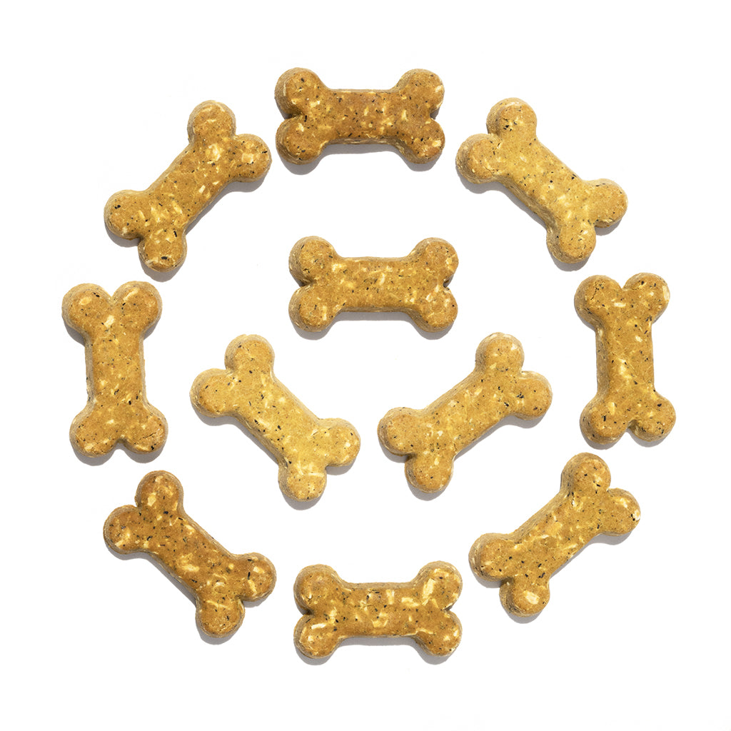 Coco-Milk Bones Carrot Cake Biscuit - Organic Coconut Treat for dogs