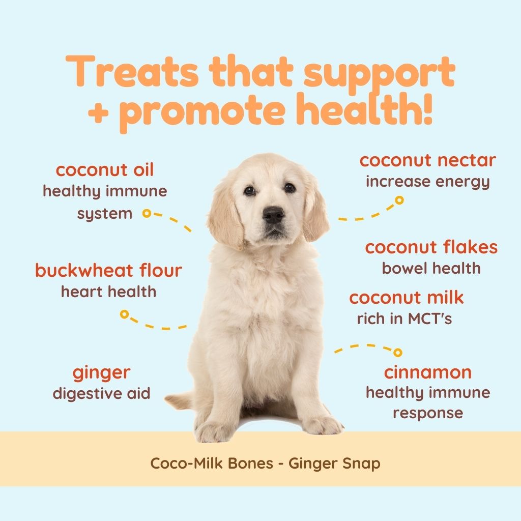 Coco-Milk Bones Ginger Snaps Biscuit - Organic Coconut Treat for dogs