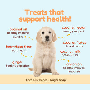 Coco-Milk Bones Ginger Snaps Biscuit - Organic Coconut Treat for dogs