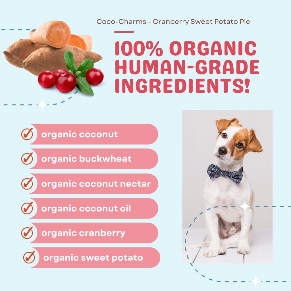 Coco-Charms Training Treats Cranberry Sweet Potato Pie - Organic Training Treat for dogs