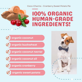 Coco-Charms Training Treats Cranberry Sweet Potato Pie - Organic Training Treat for dogs
