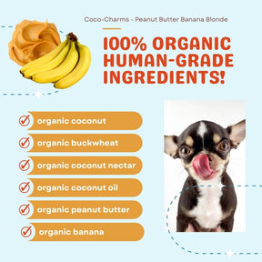 Coco-Charms Training Treats Peanut Butter Banana Blondie - Organic Training Treat for dogs