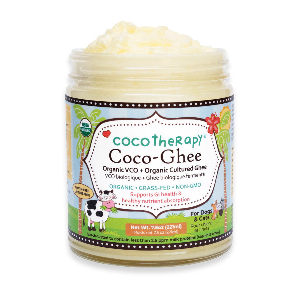 Ultimate Gut Health Combo Pack -  Coco-Ghee + Coconut Chips
