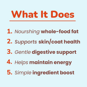 Virgin Coconut Oil (8oz) - USDA Certified Organic Coconut Oil for dogs, cats, & birds