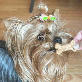 Anti-Inflammatory Support Triple Combo Pack - Coco-Gold + Carrot + Ginger Coco-Milk Bones