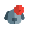 Brain & Cognitive Health