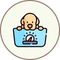 Small dog sitting on a weighing scale