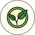 Green sprouting leaf inside a circle