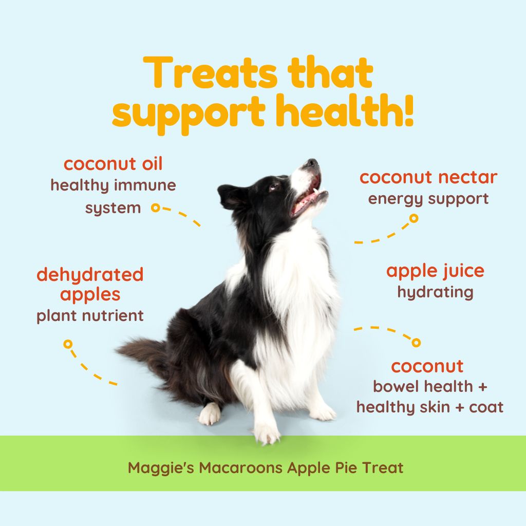 Maggie's Macaroons Coconut Apple Pie - Organic Coconut Treat for dogs