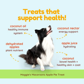 Maggie's Macaroons Coconut Apple Pie - Organic Coconut Treat for dogs