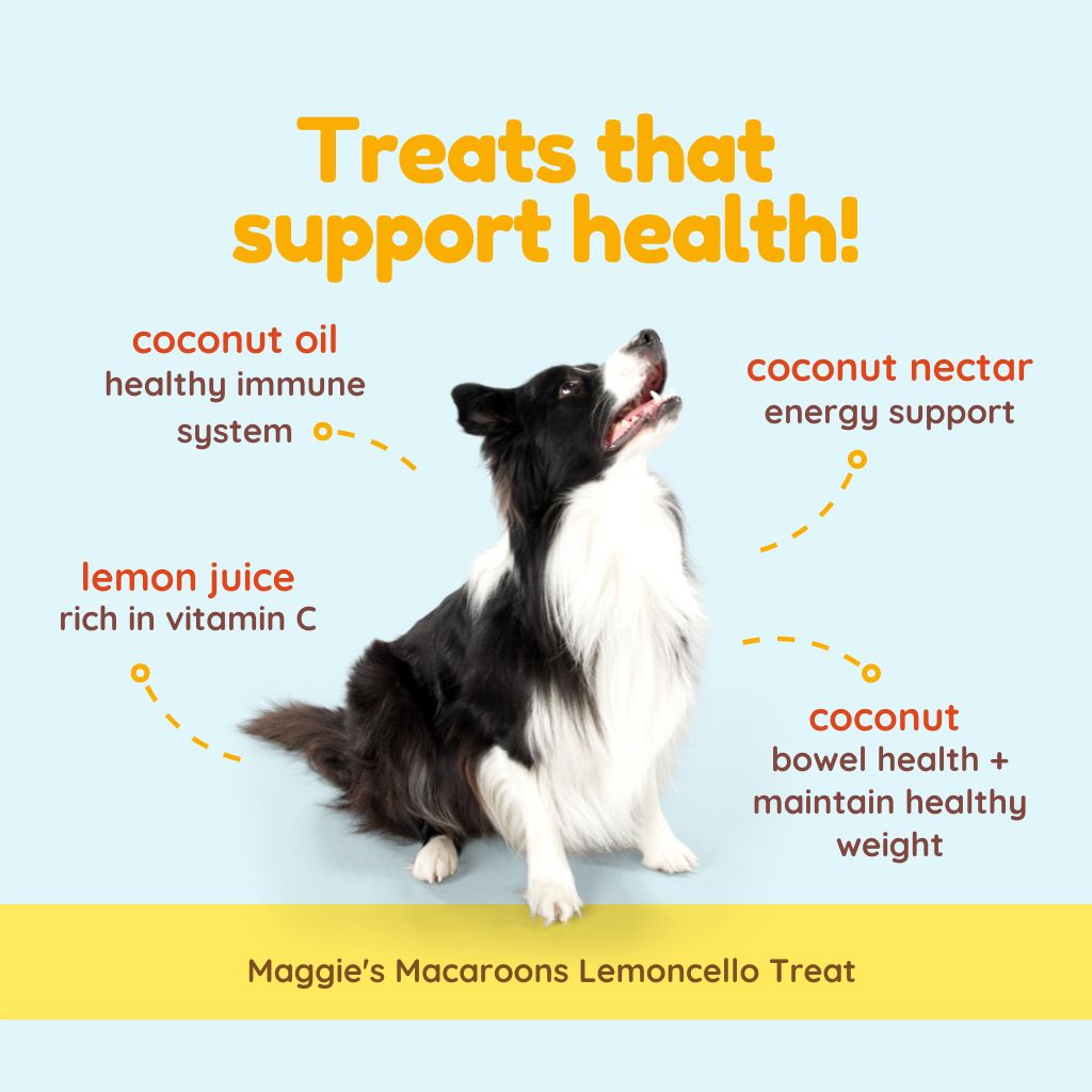 Maggie's Macaroons Coconut Lemoncello - Organic Coconut Treat for dogs
