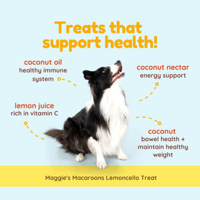 Maggie's Macaroons Coconut Lemoncello - Organic Coconut Treat for dogs