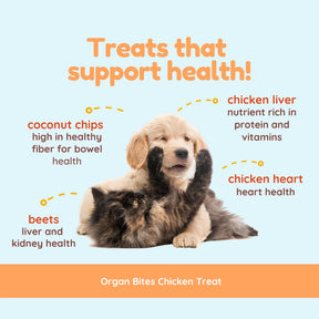 Organ Bites! Chicken Organs + Beets + Coconut - Raw Organ Meat Treat for dogs and cats