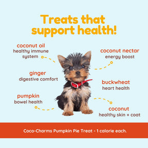 Coco-Charms Training Treats Pumpkin Pie - Organic Training Treat for dogs