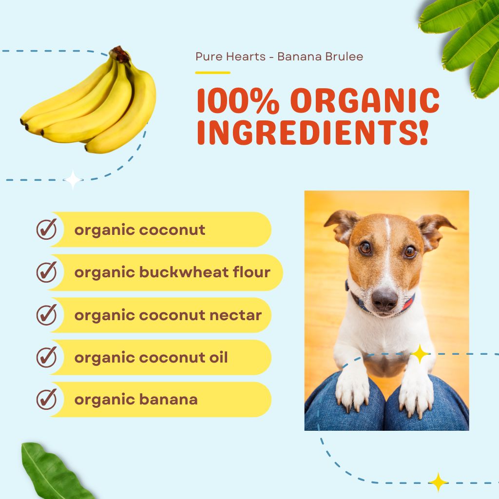 Pure Hearts Coconut Cookies Banana Brulée - Organic Treat for dogs