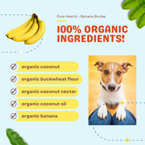 Pure Hearts Coconut Cookies Banana Brulée - Organic Treat for dogs