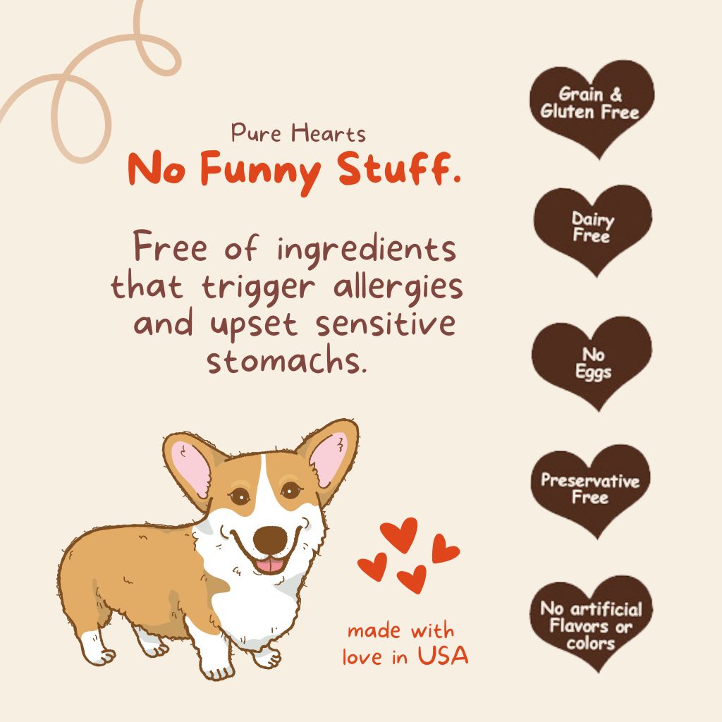Pure Hearts Coconut Cookies Piña Colada - Organic Treat for dogs