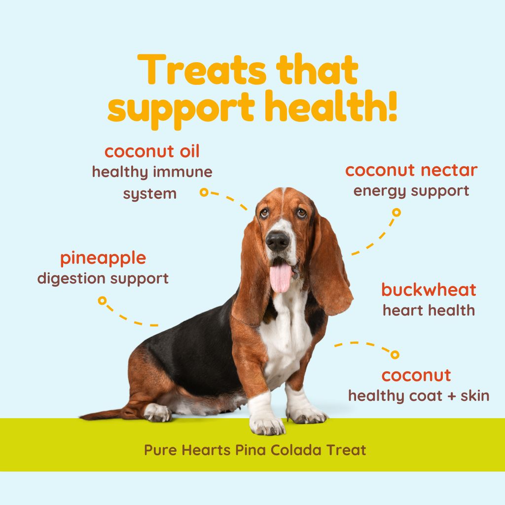 Pure Hearts Coconut Cookies Piña Colada - Organic Treat for dogs