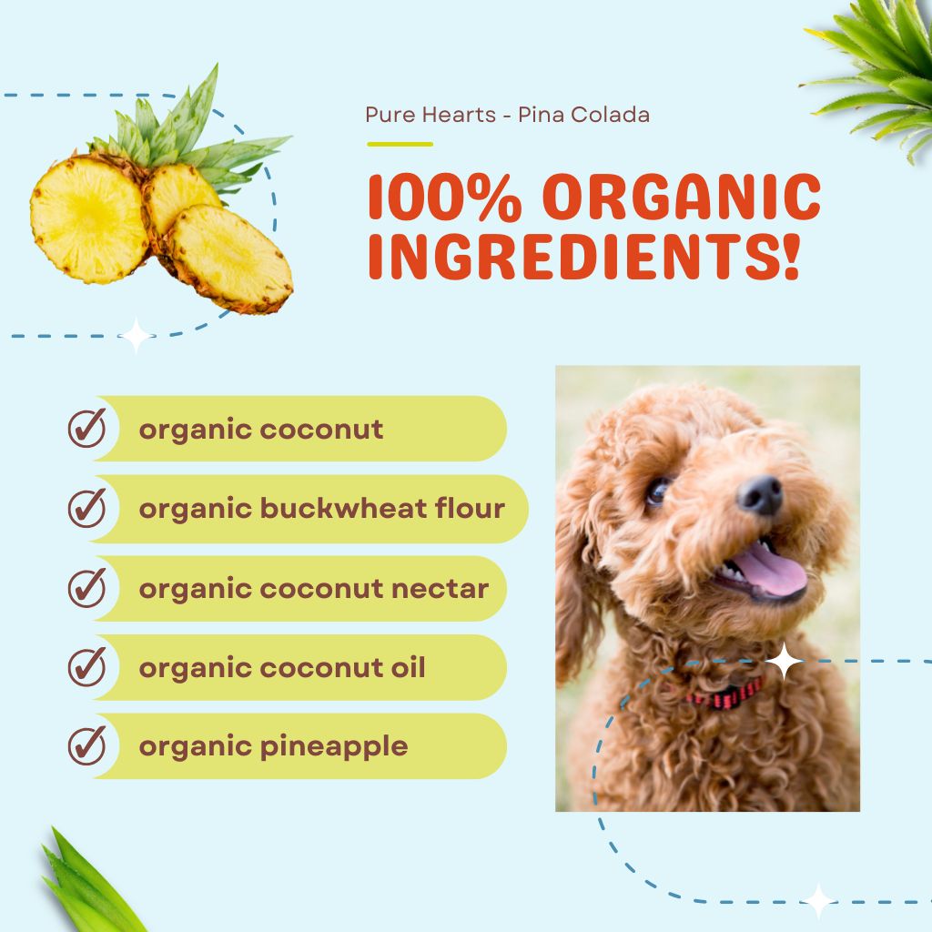 Pure Hearts Coconut Cookies Piña Colada - Organic Treat for dogs