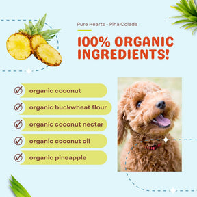 Pure Hearts Coconut Cookies Piña Colada - Organic Treat for dogs