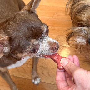 Coco-Milk Bones Red Velvet Biscuit - Organic Coconut Treat for dogs