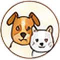 Dog and cat faces side by side