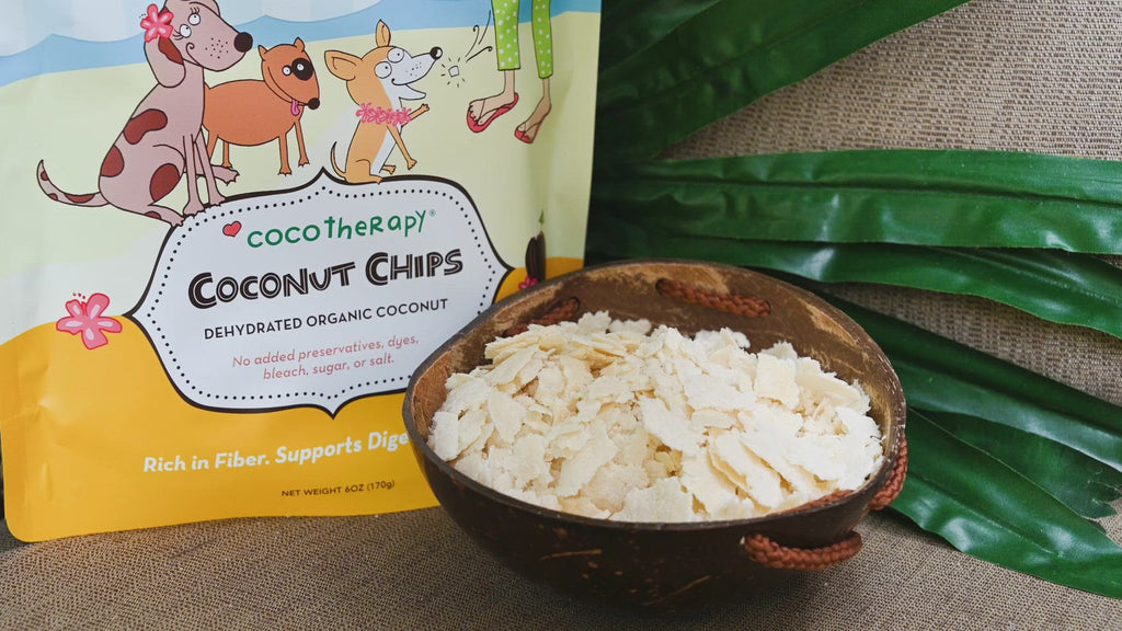 coconut for pets | coconut for dogs | coconut for cats | coconut oil for dog constipation | cat vomiting