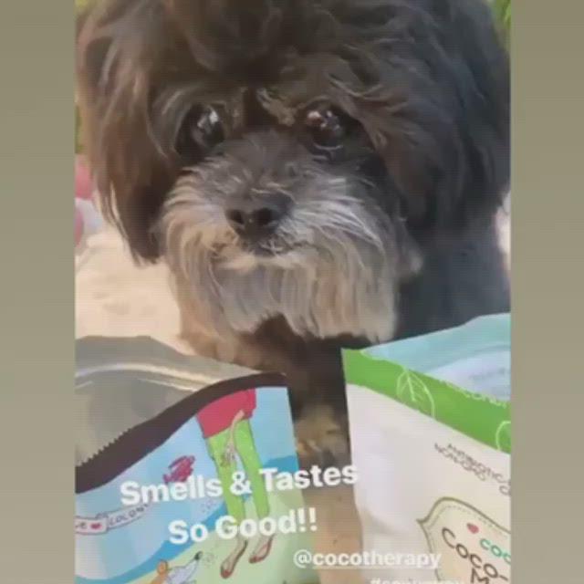 coconut oil for dogs | coconut oil for cats | coconut good for dogs | coconut good for cats