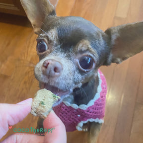 Coco-Carnivore Meatballs – Turkey + Spinach + Coconut