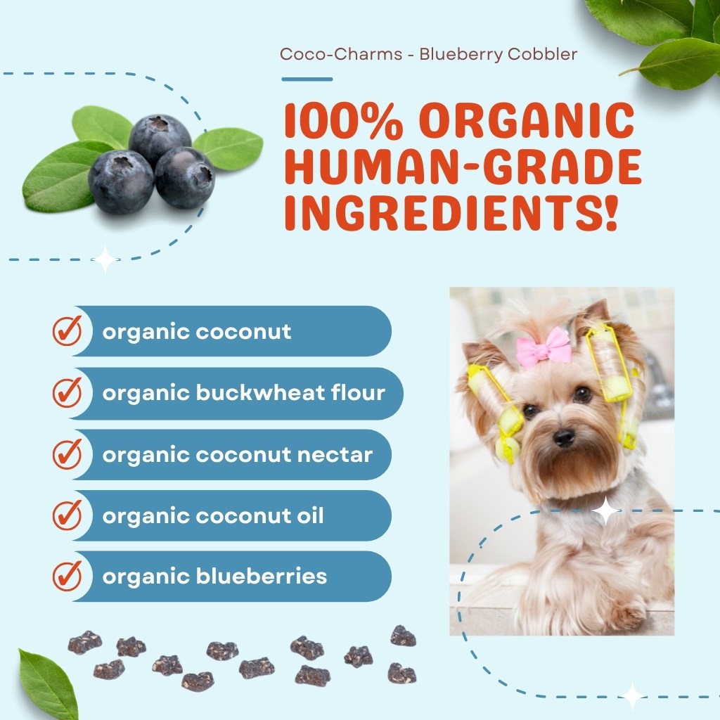 Coco-Charms Training Treats Blueberry Cobbler - Organic Training Treat for dogs