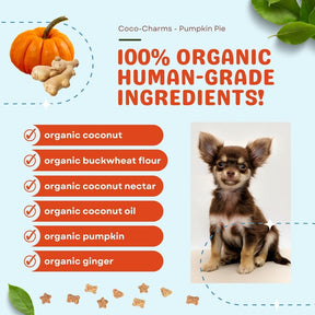Coco-Charms Training Treats Pumpkin Pie - Organic Training Treat for dogs
